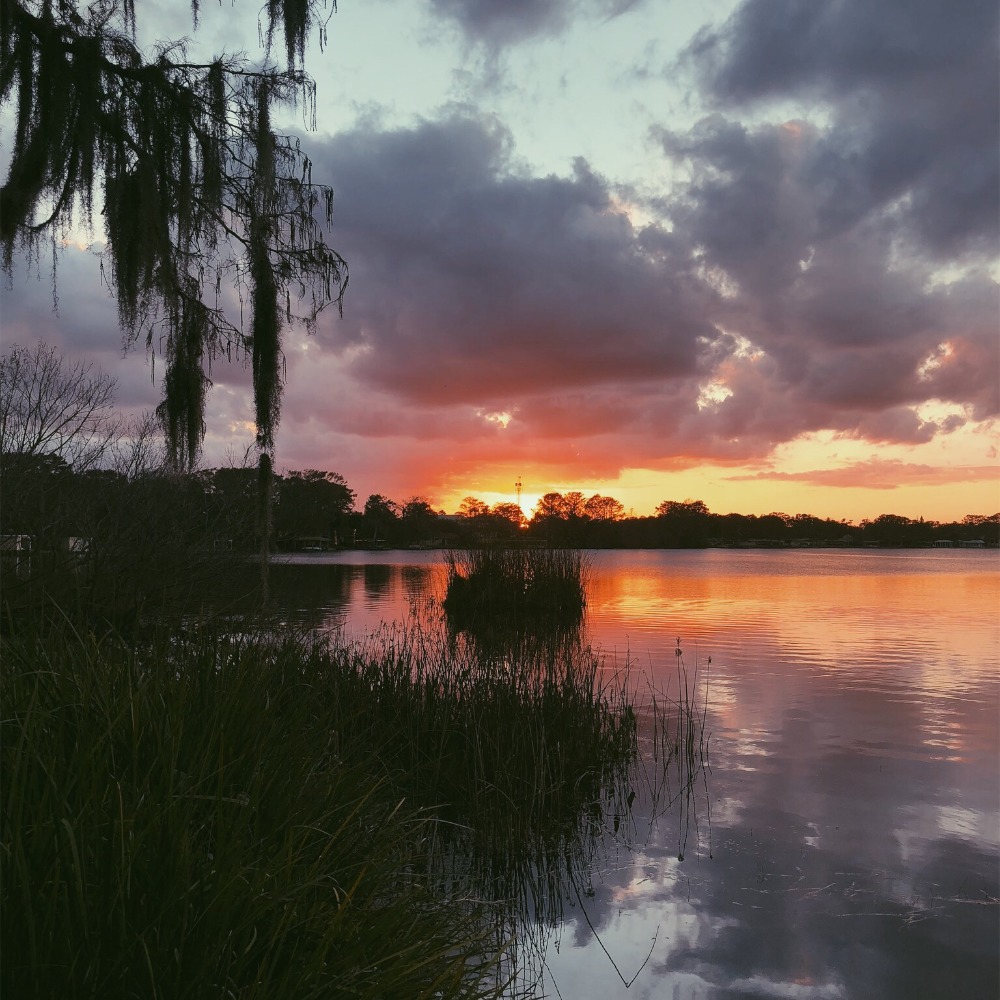 Meet your Posher, Charlotte